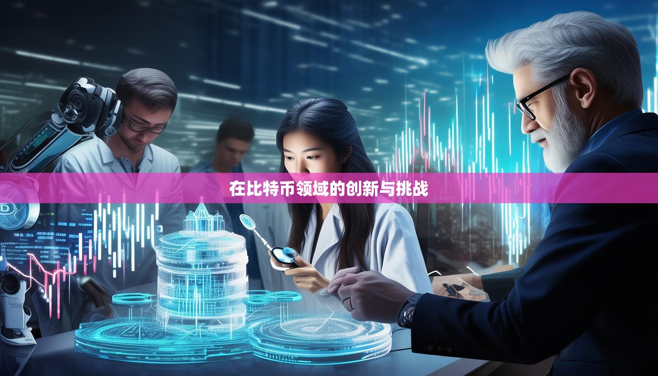 在比特币领域的创新与挑战