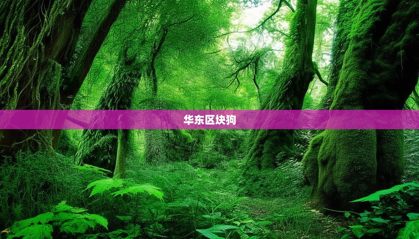 华东区块狗