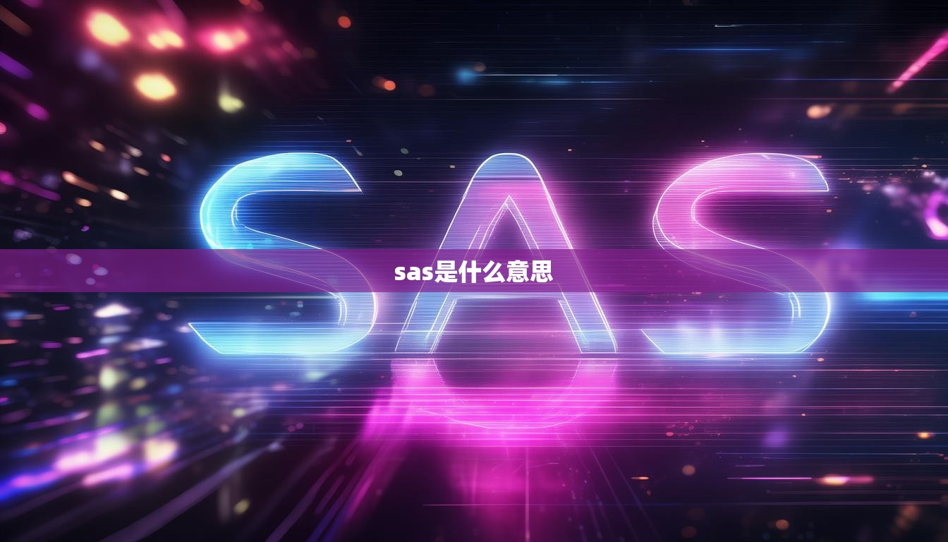 sas是什么意思  第1张